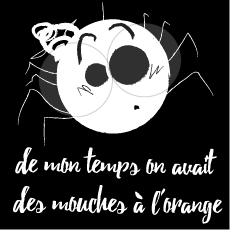 Les mouches à l'orange