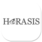 Remise en forme de supports de communication pour Horasis