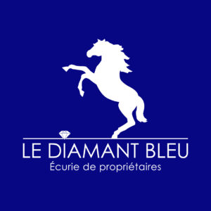 Logo écurie de propriétaires