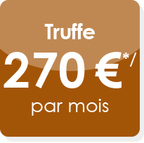 Offre truffe d'entretien du site internet